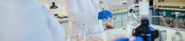 Rehuarvojen tutkiminen laboratoriossa Rehuarvojen tutkiminen laboratoriossa