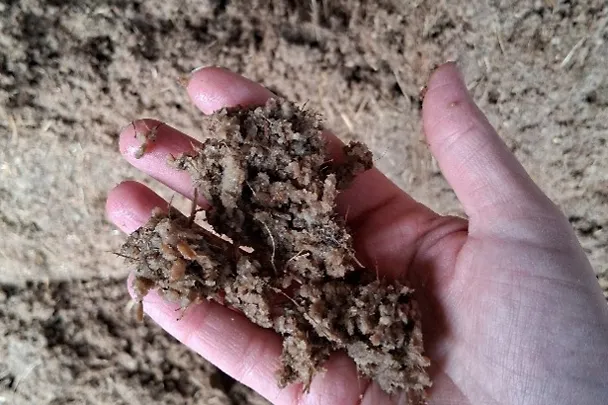 Malte Krohn Malte Krohn