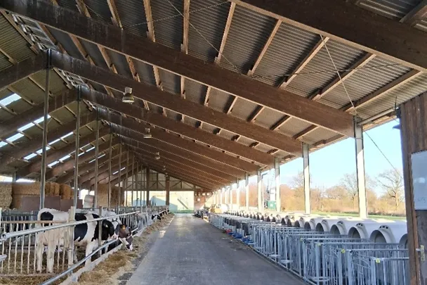 Hennig Münster Hennig Münster