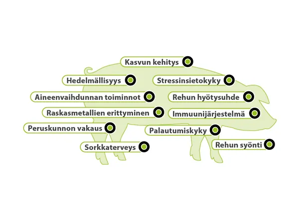 Darstellungen_FI_2511192 - aminotrace Darstellungen_FI_2511192 - aminotrace