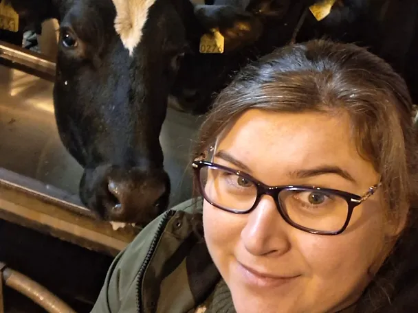 Mari Klemetti lehmän kanssa Mari Klemetti lehmän kanssa