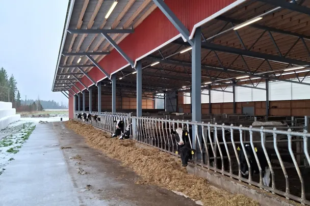 Kuva MaitoKourimon tilalta Kuva MaitoKourimon tilalta