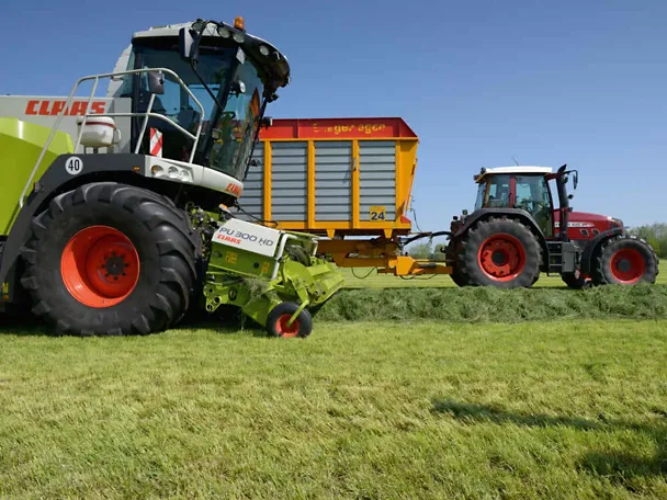 Rehunsäilöntä Rehunsäilöntä