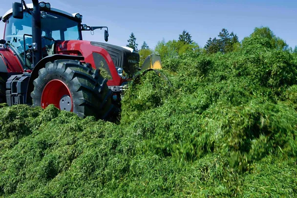 Nurmisäilörehu Nurmisäilörehu